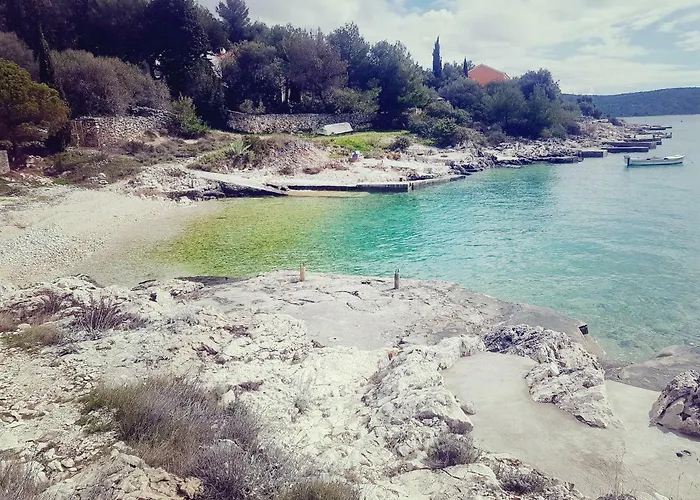 Scandalli Daire Sevid